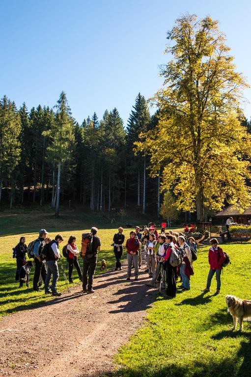 Hostel L'Ost - Ostello Di Grumes Dış mekan fotoğraf